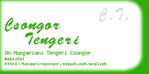csongor tengeri business card